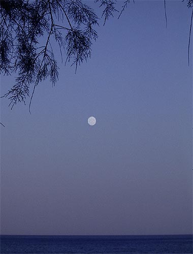 Mond ber Pale